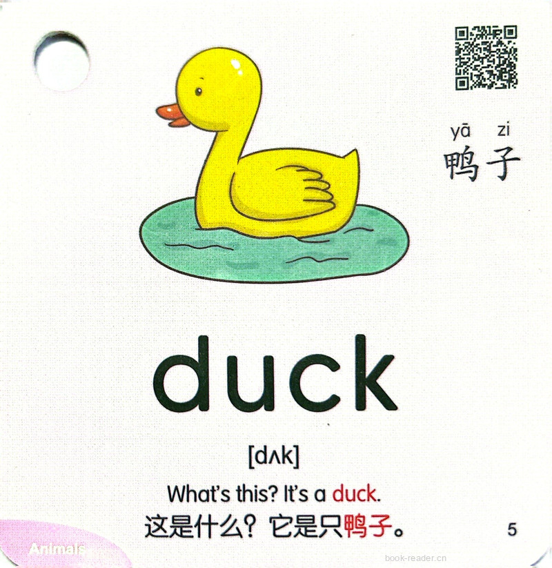 单词卡